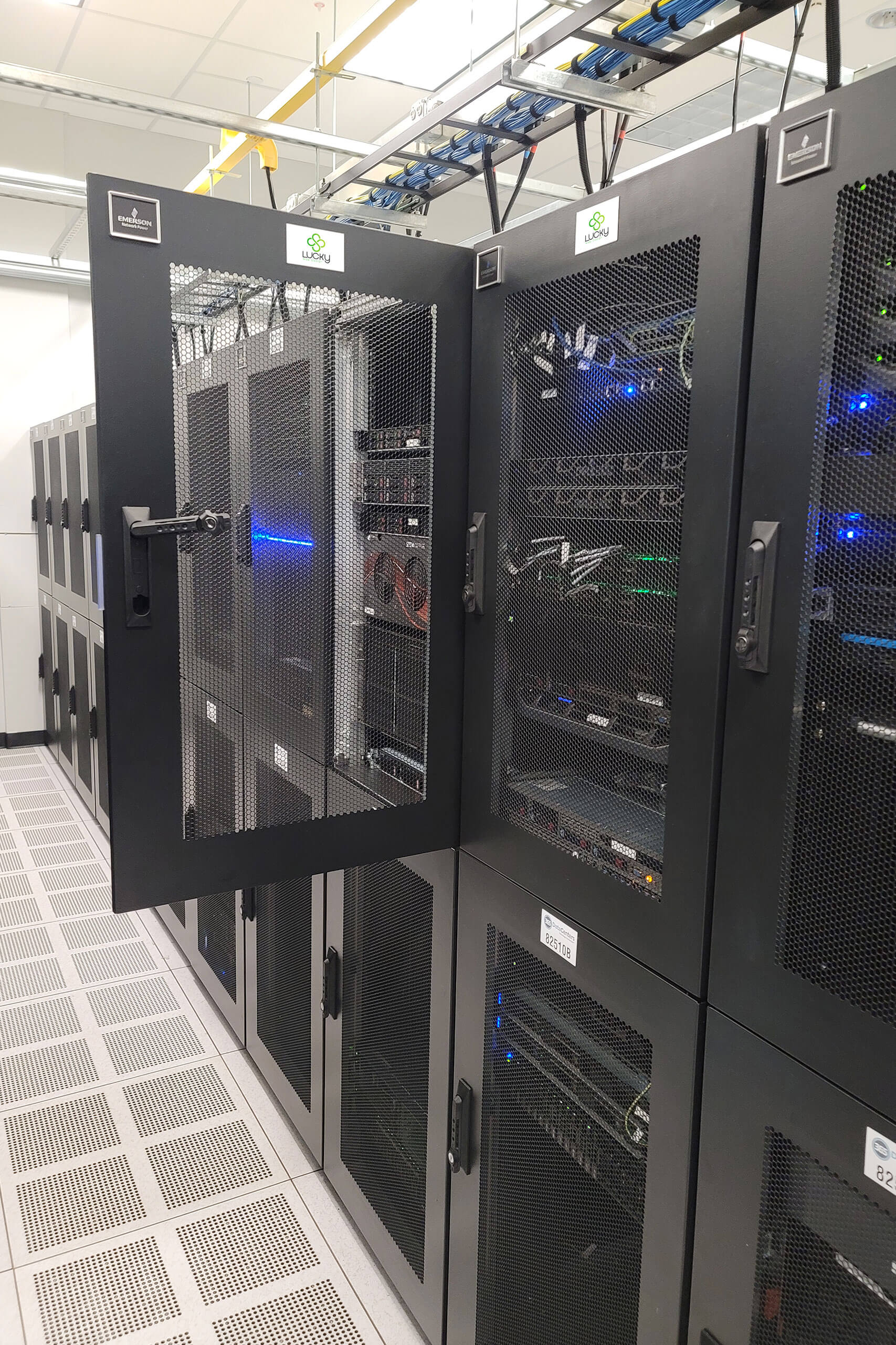 custom technology solutions - West Palm Beach
